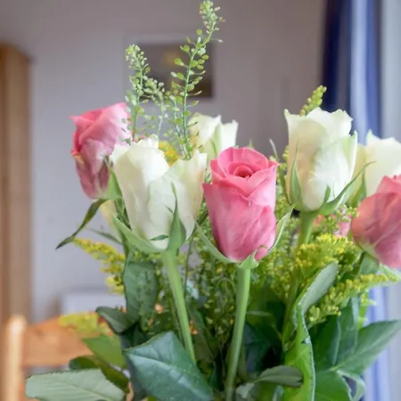 Friesisches - Lee * Nordstrand